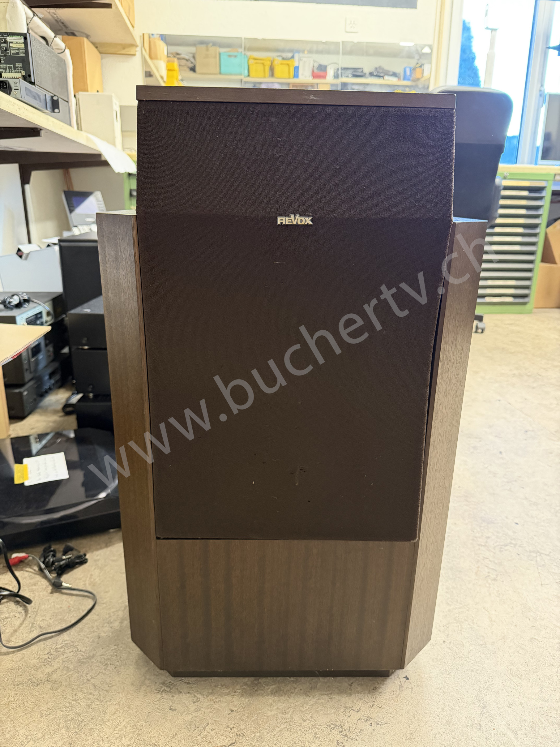 Revox Agora B Lautsprecher Reparatur