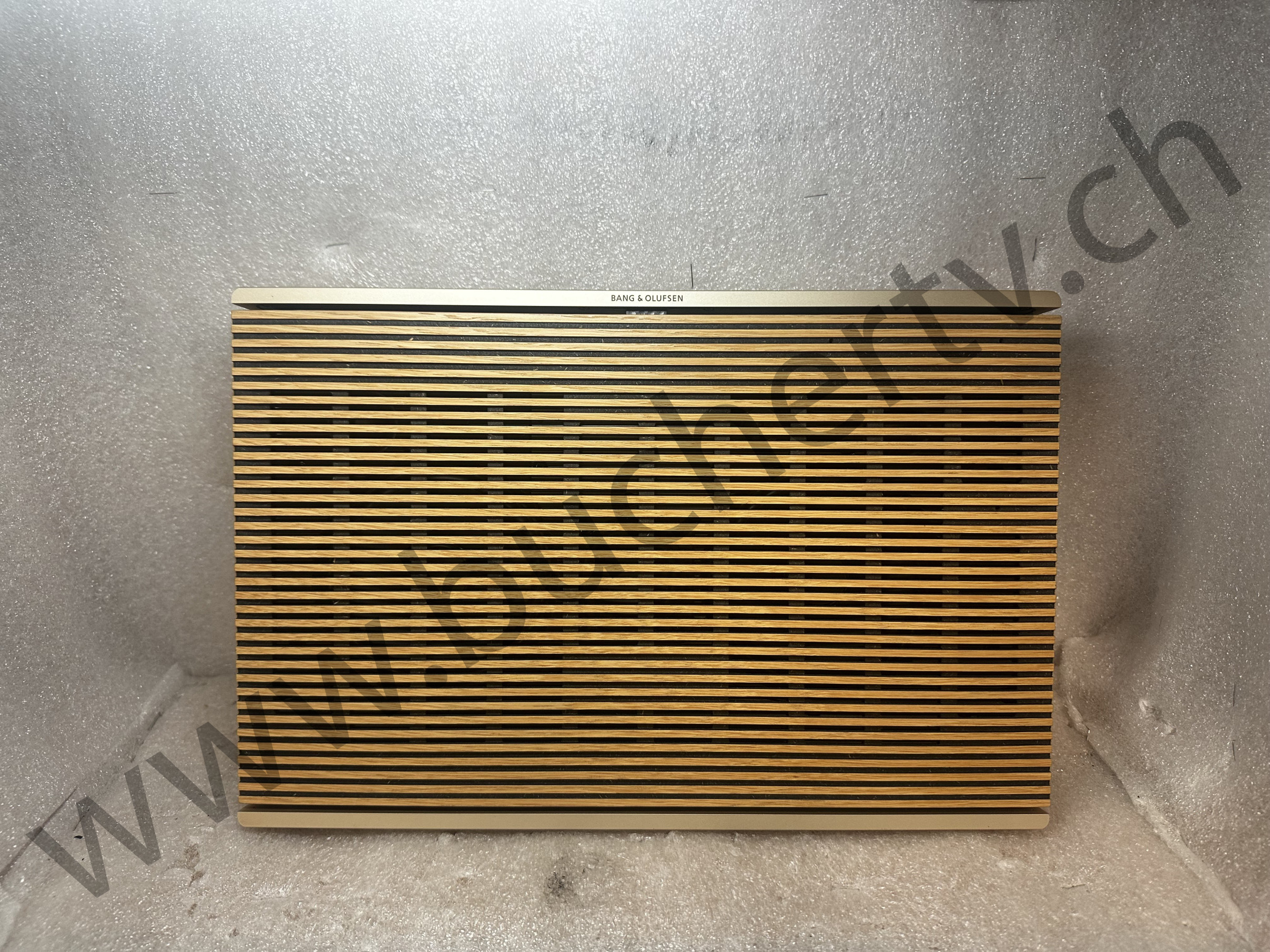 Bang & Olufsen Level Lautsprecher Reparatur