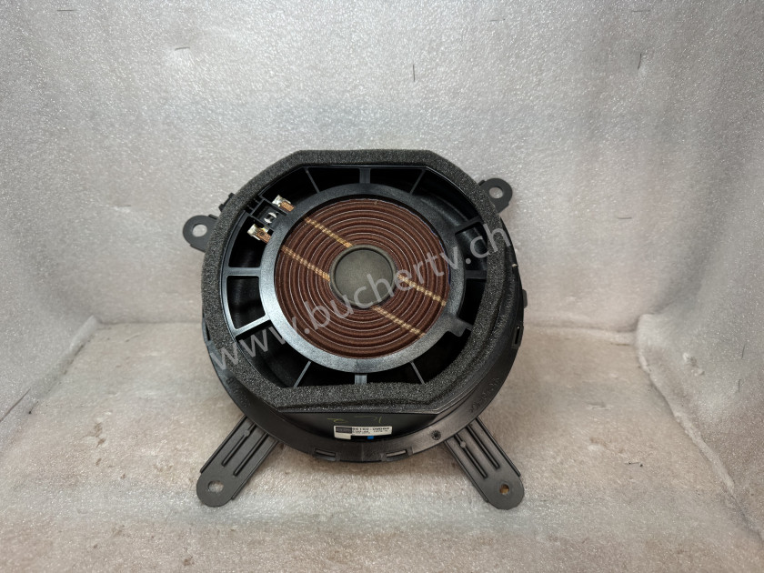 Mark Levinson 86160 Lautsprecher Reparatur